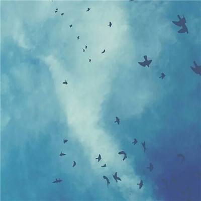 BET体育365投注官网